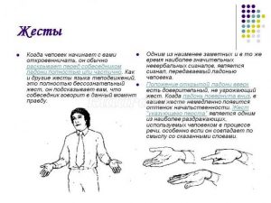 7944 4618d404c7b17d4ccbaf3b66e0b49f2f - Игра по этикету для школьников