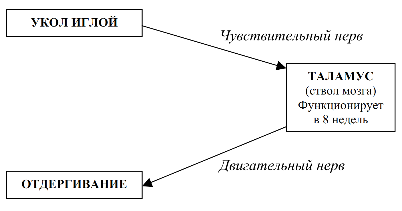 Реферат: The Effects Of Teen Pregnancy On Children