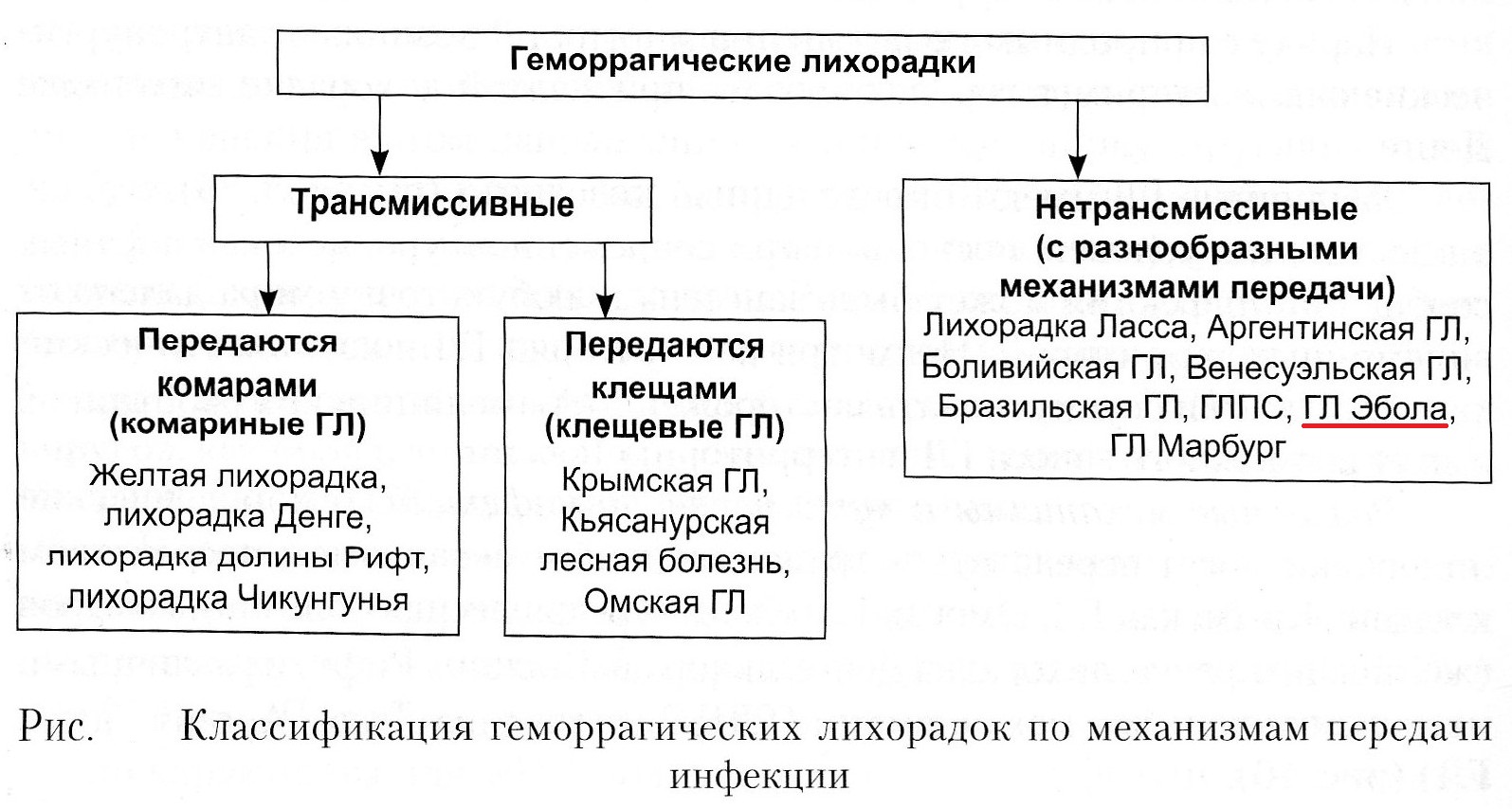 Число жертв вируса Эбола возросло до двух тысяч человек