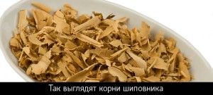 Для чего используется шиповник. Смотреть фото Для чего используется шиповник. Смотреть картинку Для чего используется шиповник. Картинка про Для чего используется шиповник. Фото Для чего используется шиповник