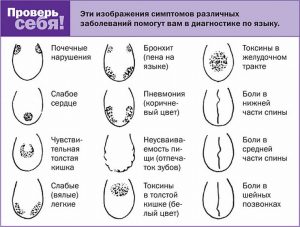 что зубы могут рассказать о здоровье. Смотреть фото что зубы могут рассказать о здоровье. Смотреть картинку что зубы могут рассказать о здоровье. Картинка про что зубы могут рассказать о здоровье. Фото что зубы могут рассказать о здоровье