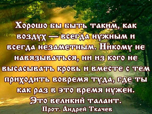 Мак многолетний посадка и уход в открытом Мак многолетний посадка и уход в открытом