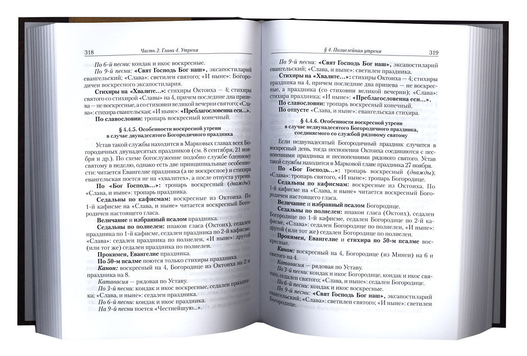 Православное богослужение кашкин. Кашкин устав православного богослужения. Кашкин Литургика.