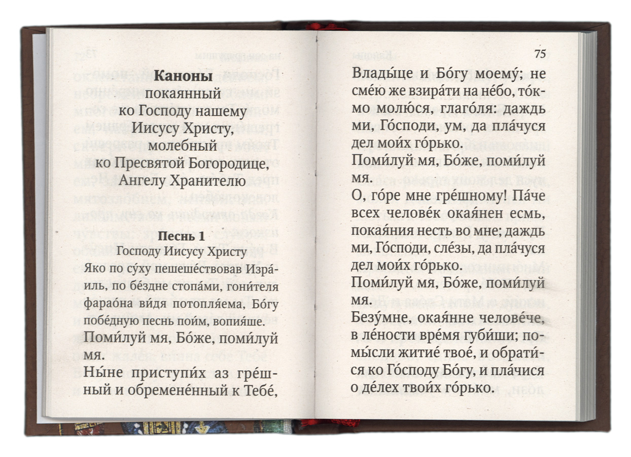 Каноны иисусу слушать. Молитва ангел вопияше. Ангел вопияше текст молитвы. Покаянный ко Господу Иисусу Христу. Молитва ангел вопияше Благодатней.