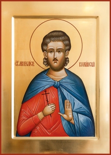 Васили́ск Команский