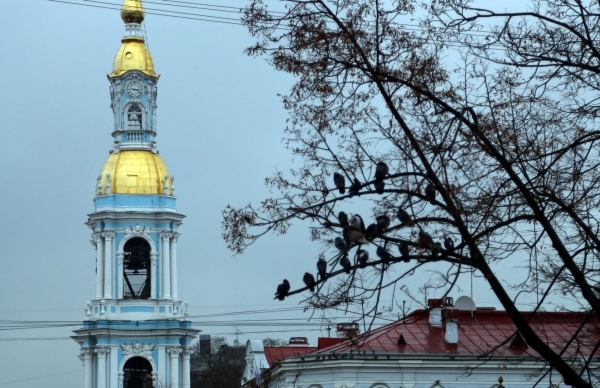 Знаки праздников