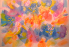 IMG_4729.png