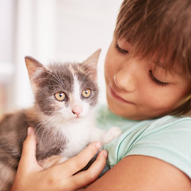 <span class=bg_bpub_book_author>прот. Аркадий Шатов, иер. Андрей Пастернак, Марина Васильева</span> <br>Как научить детей милосердию