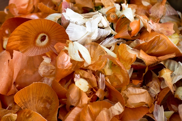 Поделки к Пасхе brown onion husks coloring for eggs for easter macro - Поделки к Пасхе