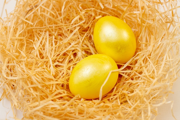 Поделки к Пасхе high angle view eggs nest - Поделки к Пасхе