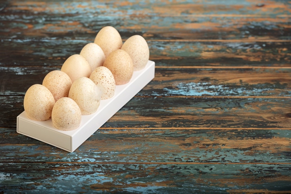 Поделки к Пасхе ten turkey eggs with white plastic - Поделки к Пасхе