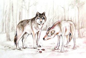 Сергей Крестьянкин: ослик, пушистый дракон и благодарная бабочка 9 - Сергей Крестьянкин: ослик, пушистый дракон и благодарная бабочка
