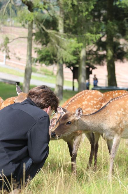 Мир да снидет на всякого зверя