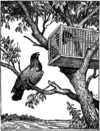 Басня «Чиж и голубь»