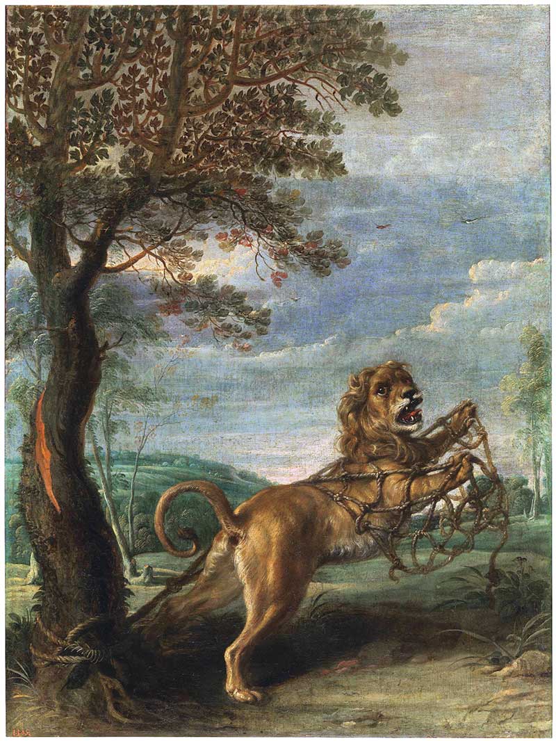 Басня «Лев и человек»