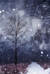 Читать: Зимний вечер