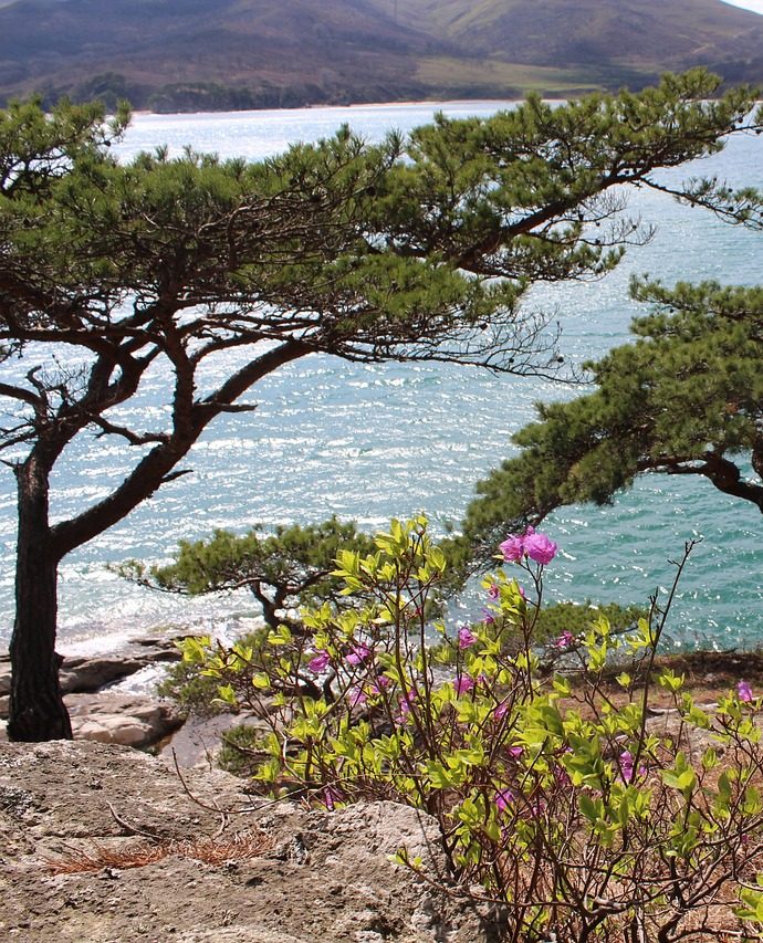 Приморский сонет