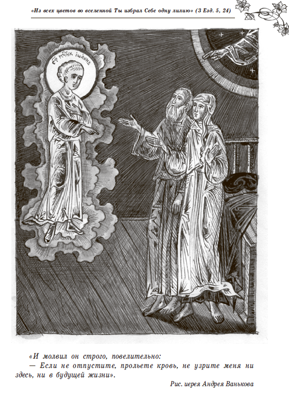 Лилии полевые 1 456566 - Лилии полевые 1