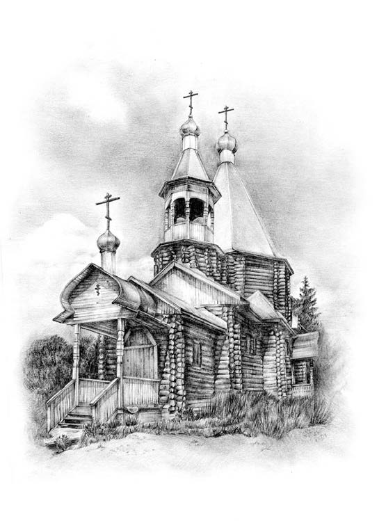 Лилии полевые 1 524 - Лилии полевые 1