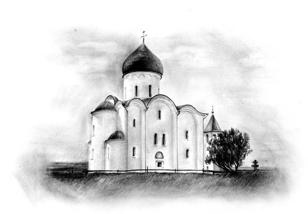 Лилии полевые 1 560 - Лилии полевые 1