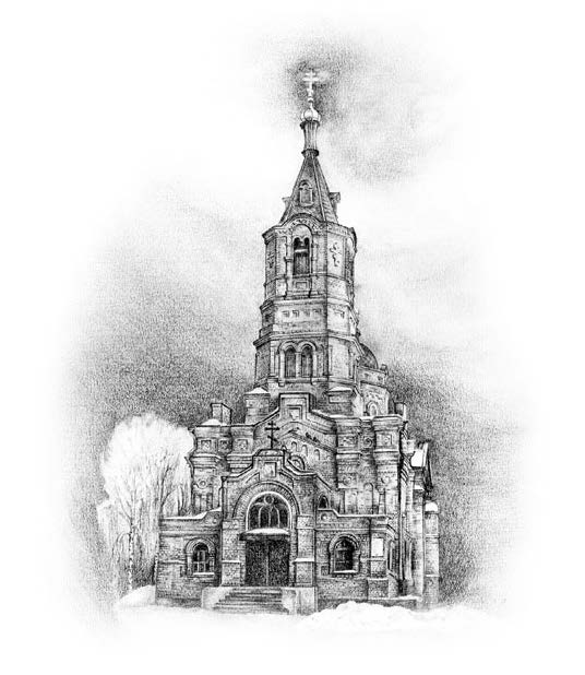 Лилии полевые 1 572 - Лилии полевые 1