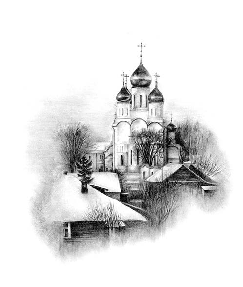 Лилии полевые 1 582 - Лилии полевые 1