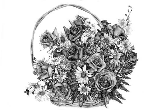 Лилии полевые 1 708 - Лилии полевые 1