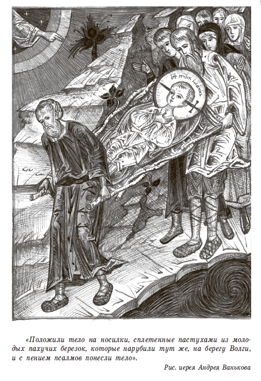 Лилии полевые 1 7893 - Лилии полевые 1