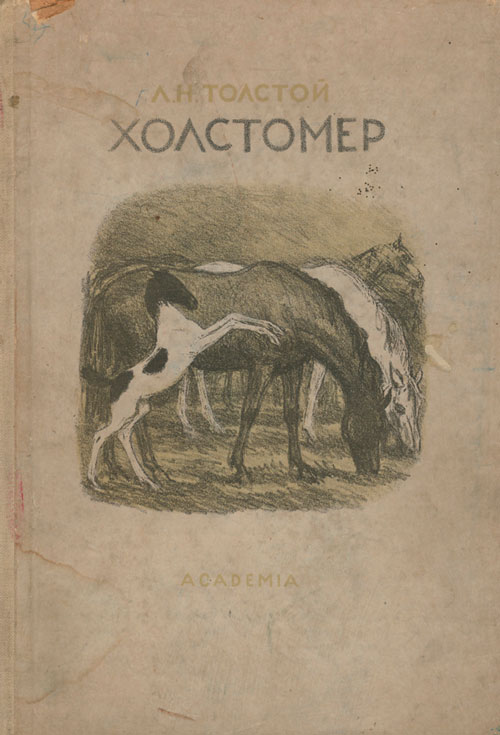 Холстомер