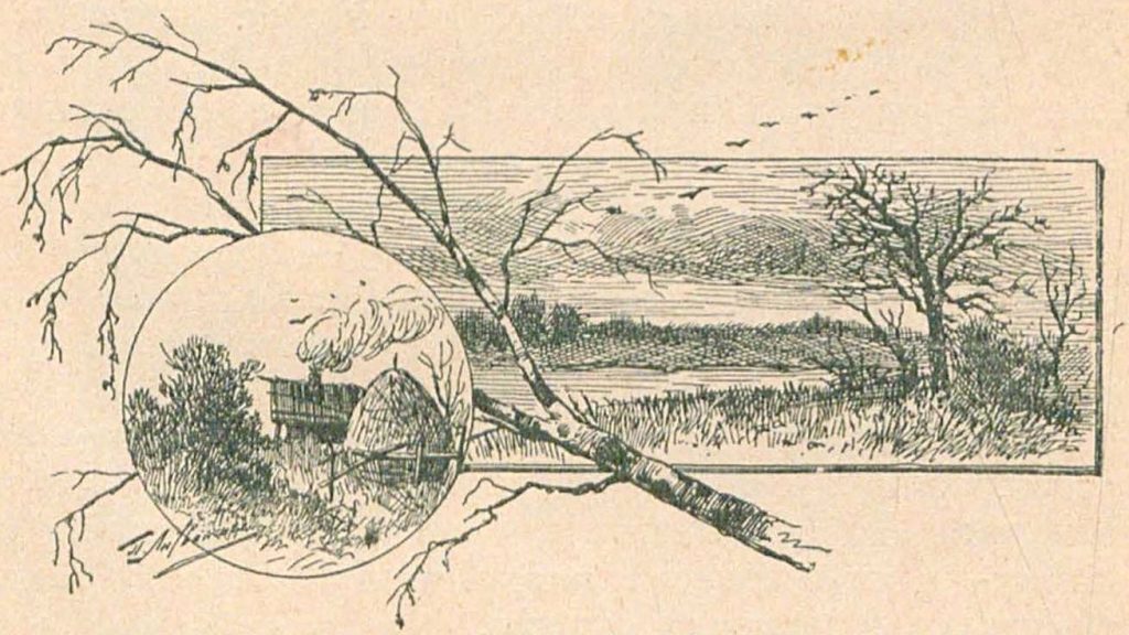 image009 - Избранные русские сказки