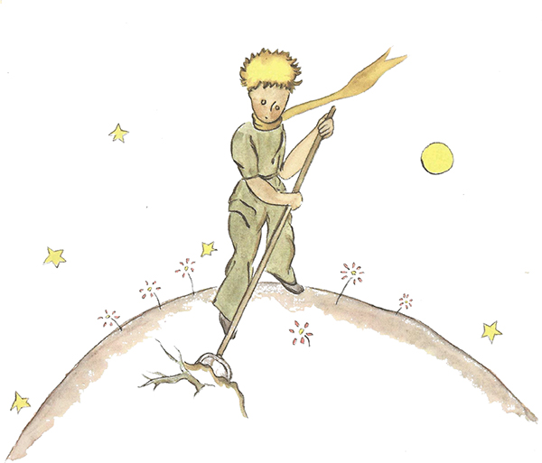 Le Petit Prince img 17 - Le Petit Prince