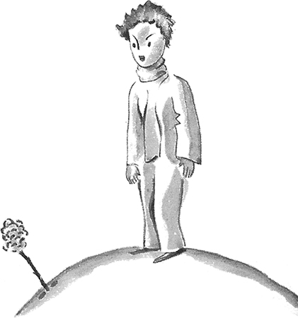 Le Petit Prince img 21 - Le Petit Prince