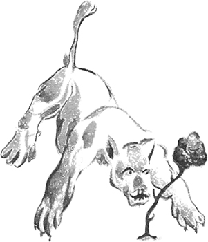 Le Petit Prince img 24 - Le Petit Prince