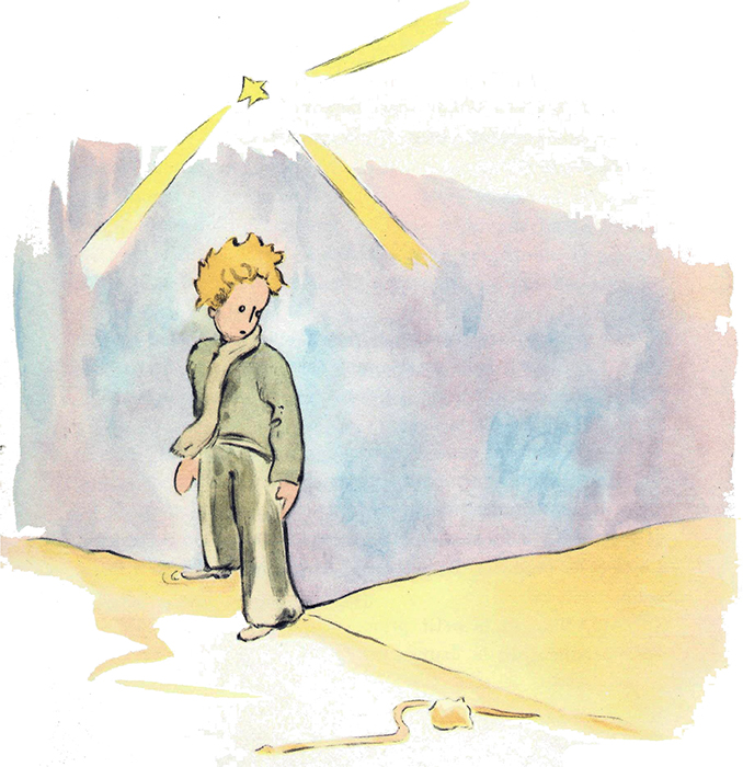 Le Petit Prince img 34 - Le Petit Prince