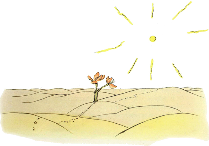 Le Petit Prince img 35 - Le Petit Prince