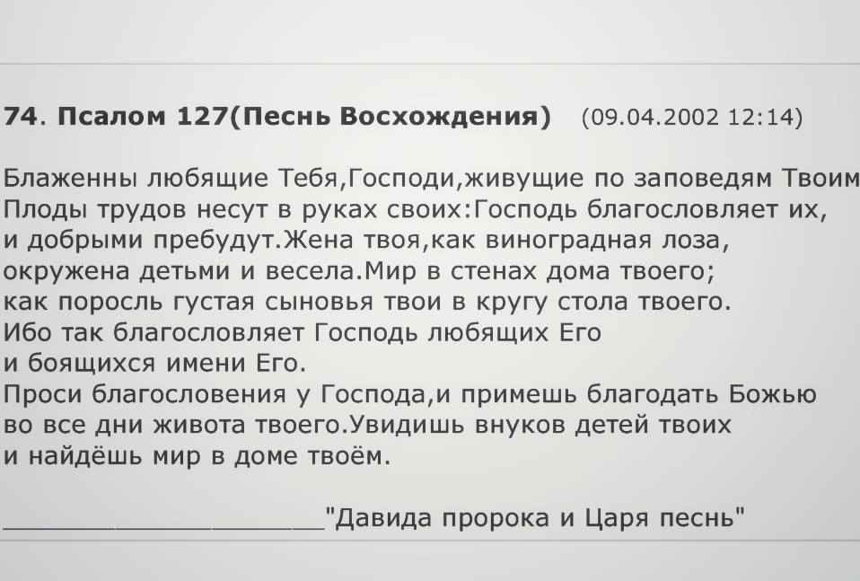 =127..jpg