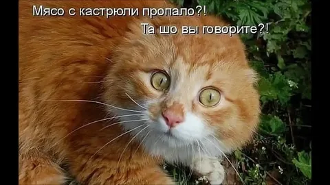 1669879196773.png