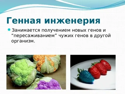 1721920528098.png