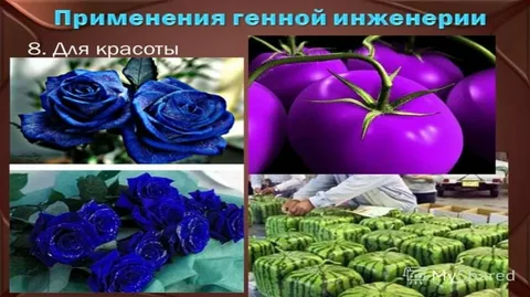 1721920556646.png