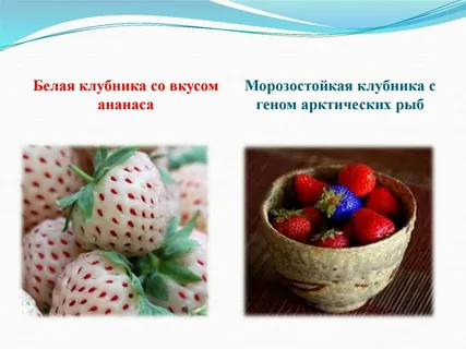 1721920581284.png