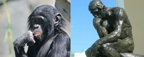 1723203723142.png