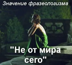 1730482884956.png