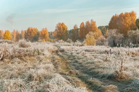 1758286932640.png