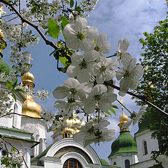 683051_89.thsq.jpg