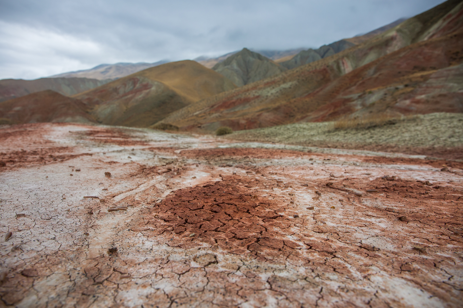 _MG_6458.jpg