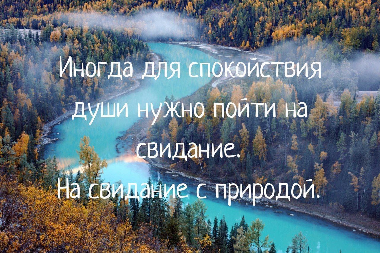 cdc17df9b33758d29f1a428f594972ec.jpg