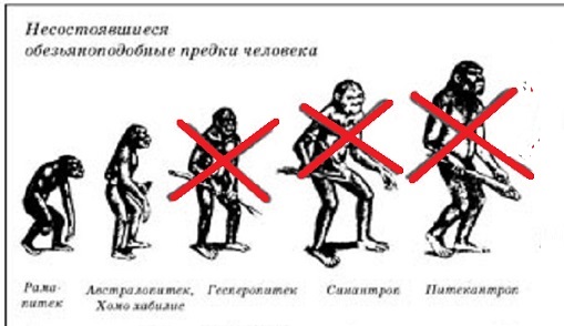 evolutsia азбука.jpg