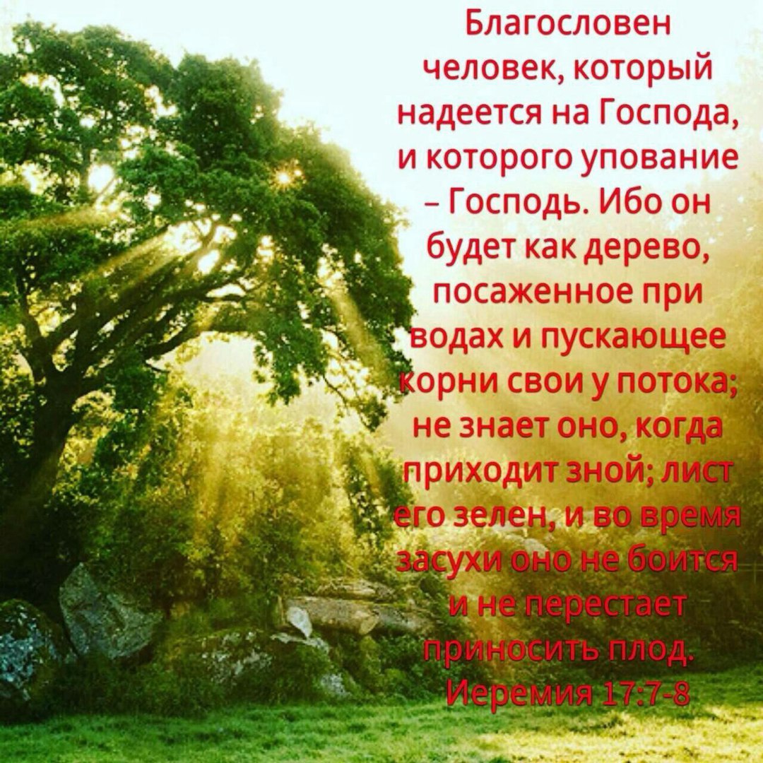 Иер. 17 глава .jpg