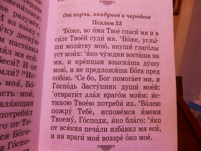 P1060633 псалом.png