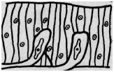 upload_2016-7-2_2-23-56.png